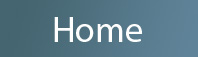 Home navigation icon